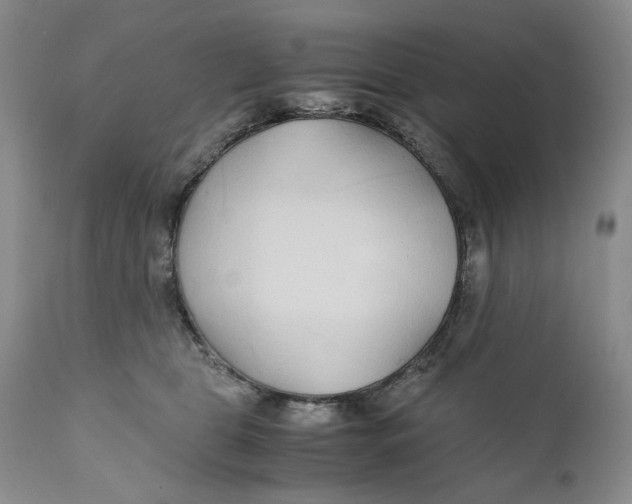 X0000110930469200907091525
