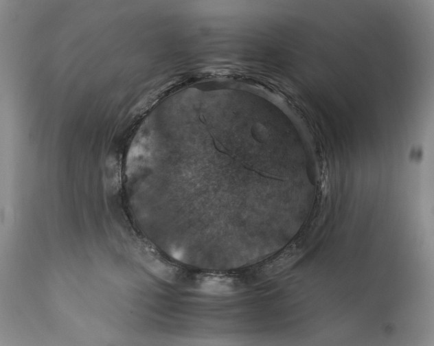 X0000110930471200907091525