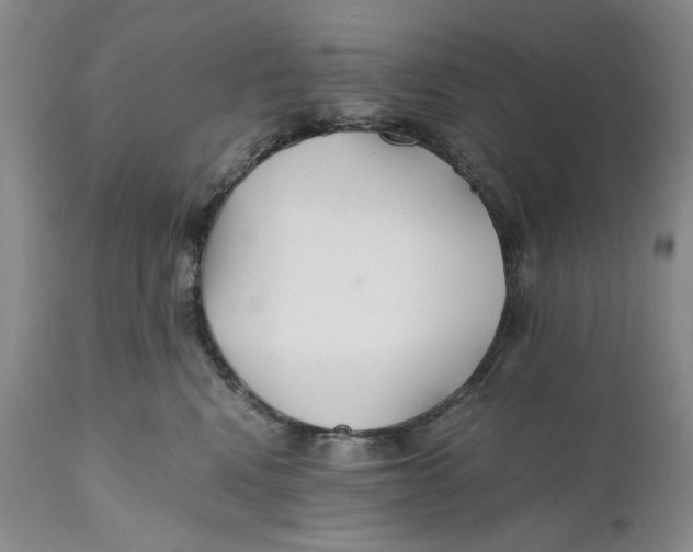X0000110930472200907091525