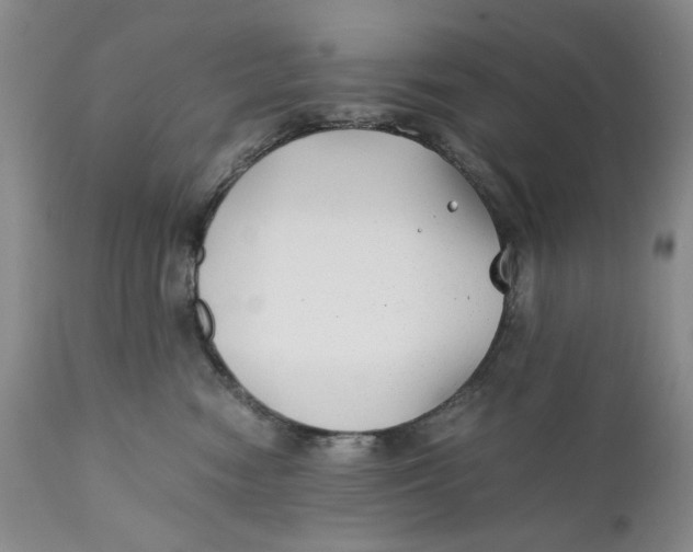 X0000110930474200907091525