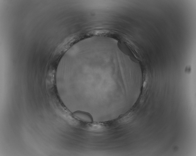 X0000110930475200907091525