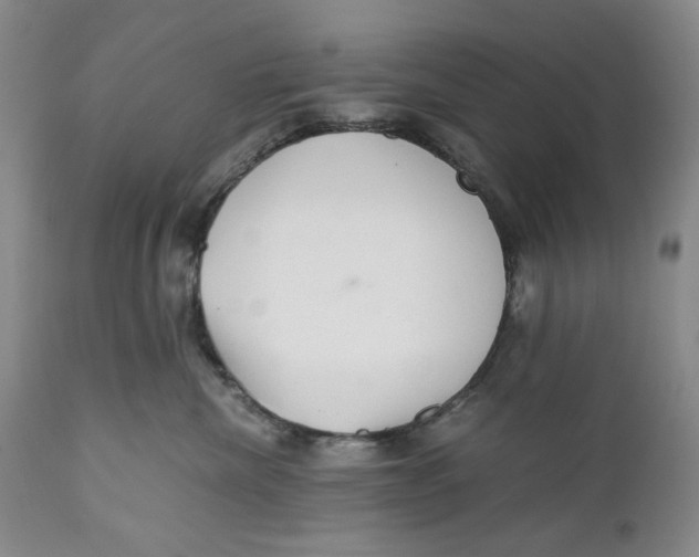 X0000110930476200907091525