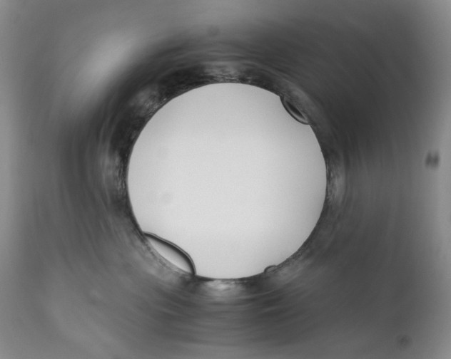 X0000110930477200907091525