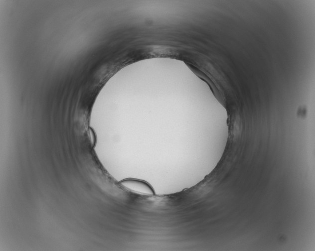 X0000110930478200907091525