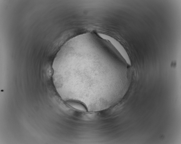 X0000110930479200907091525
