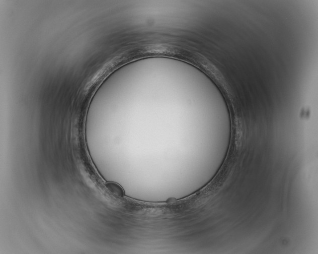 X0000110930482200907091524