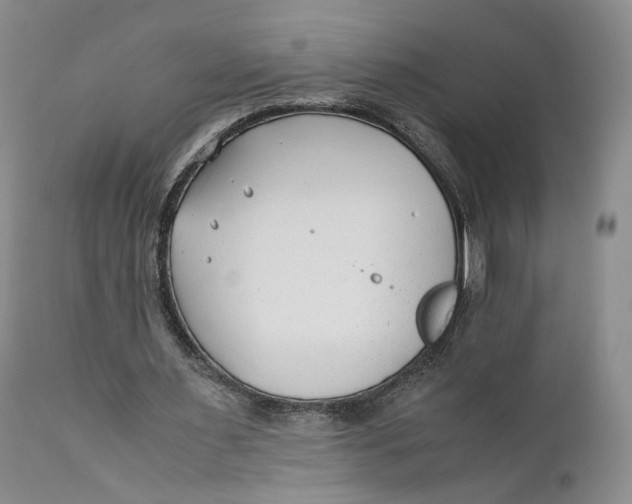 X0000110930483200907091524