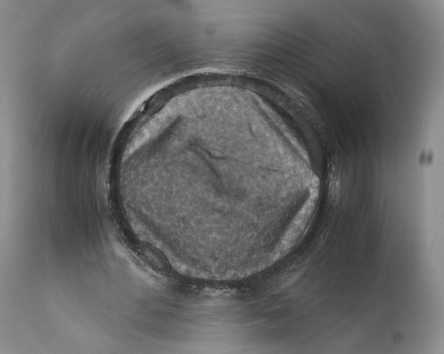 X0000110930484200907091524