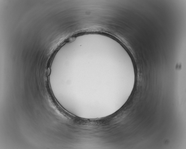 X0000110930485200907091524