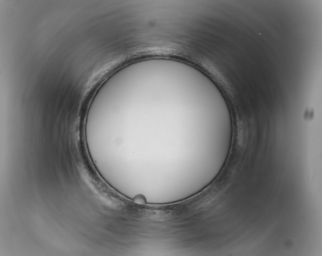 X0000110930486200907091524