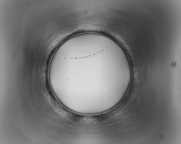 X0000110930487200907091524