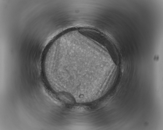 X0000110930488200907091524