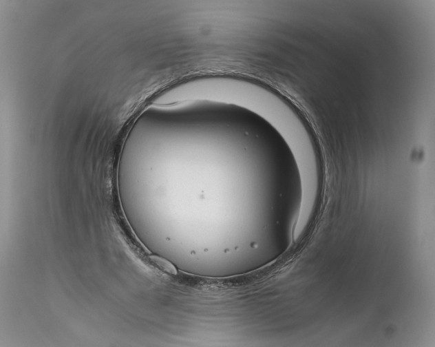 X0000110930489200907091524