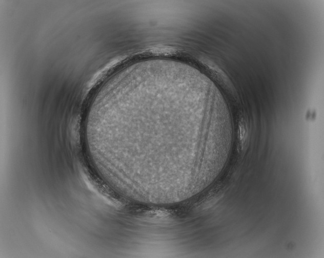 X0000110930492200907091524