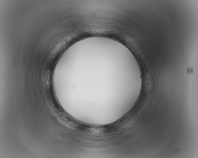X0000110930495200907091524