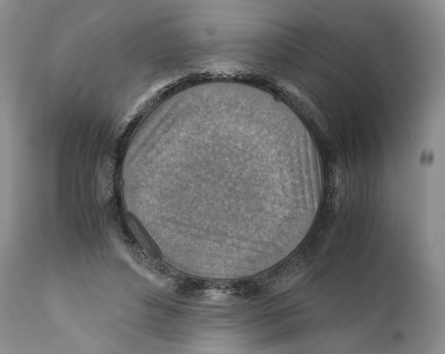 X0000110930496200907091524