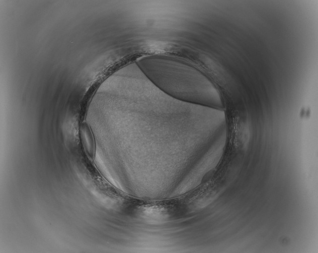 X0000110930500200907091524