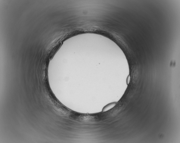 X0000110930501200907091524