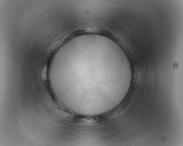 X0000110930502200907091524