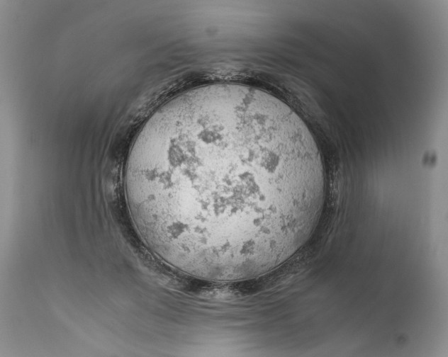 X0000110930503200907091524