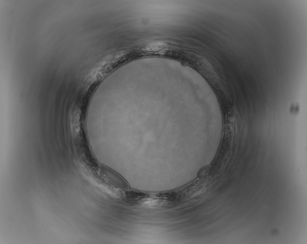 X0000110930504200907091524