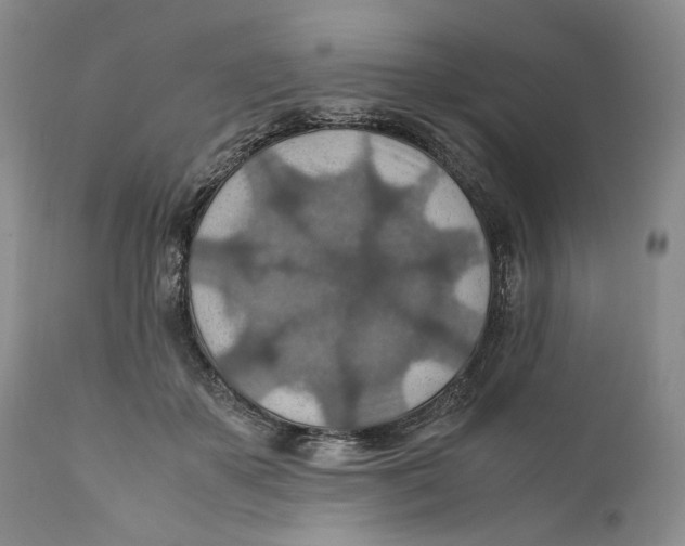 X0000110930507200907091524