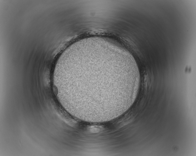X0000110930508200907091524