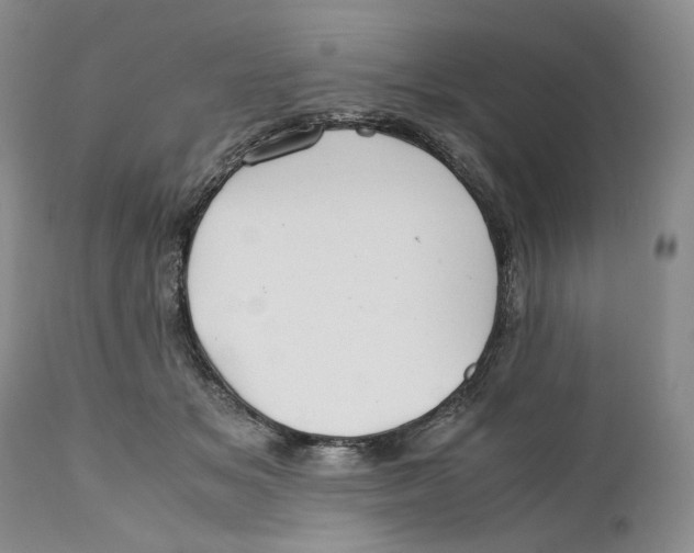 X0000110930509200907091524