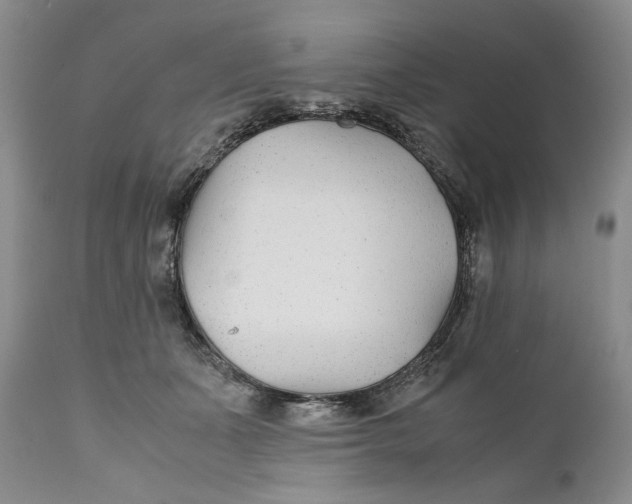 X0000110930511200907091524