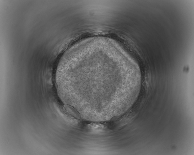 X0000110930512200907091524