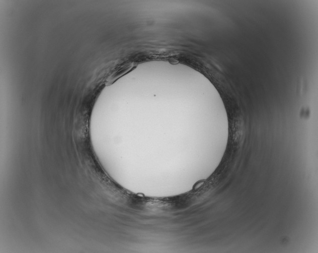 X0000110930515200907091524