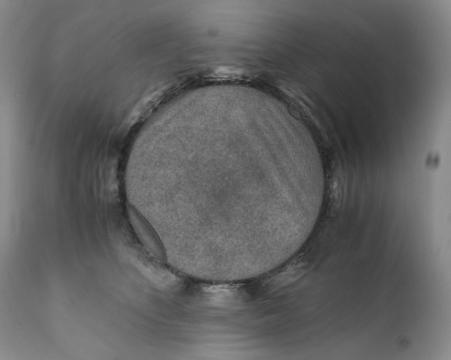 X0000110930516200907091524