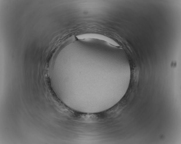 X0000110930517200907091524