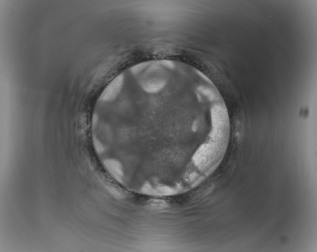 X0000110930519200907091524