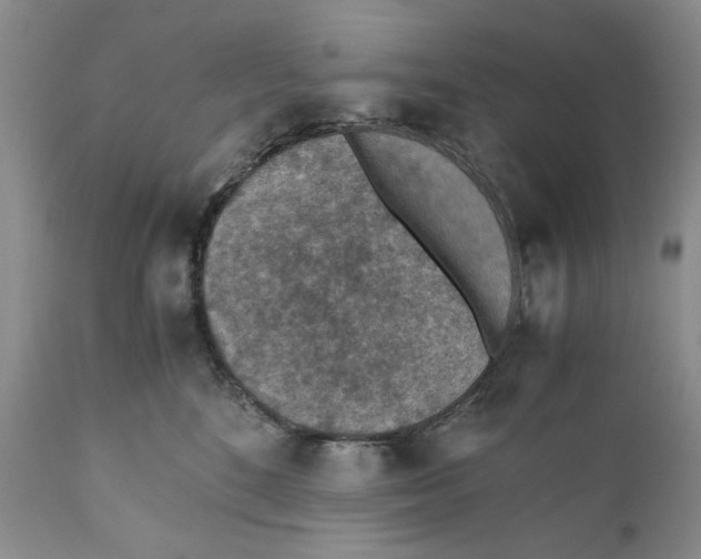 X0000110930520200907091524