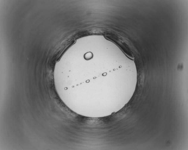 X0000110930521200907091524