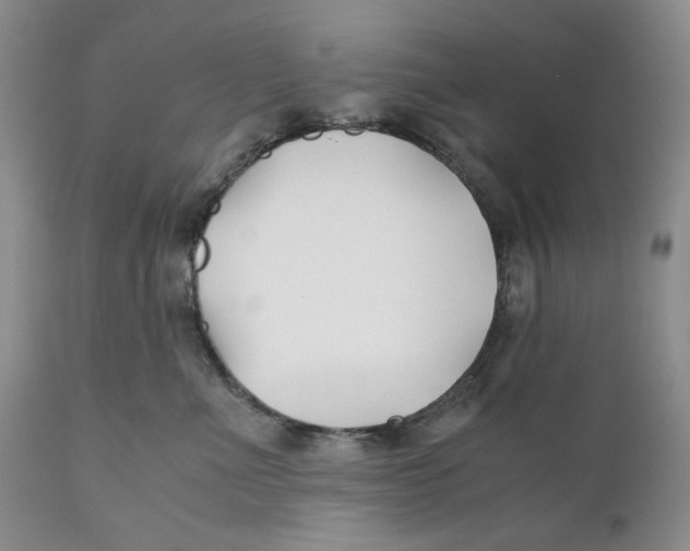 X0000110930523200907091524