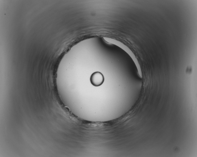 X0000110930524200907091524