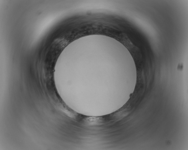 X0000110930526200907091524