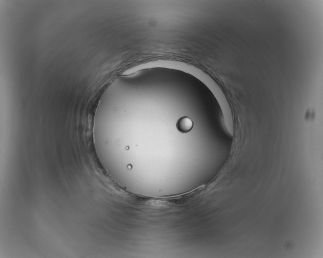 X0000110930528200907091524