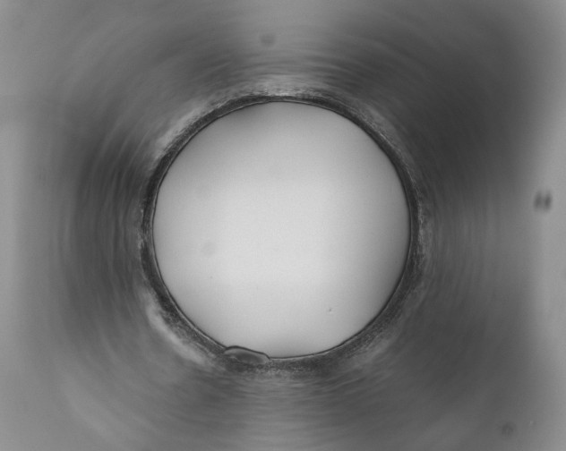 X0000110930530200907091523