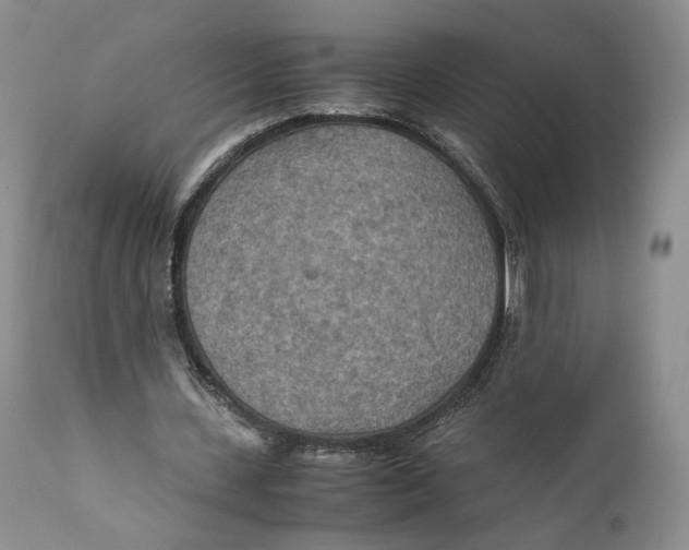 X0000110930531200907091523