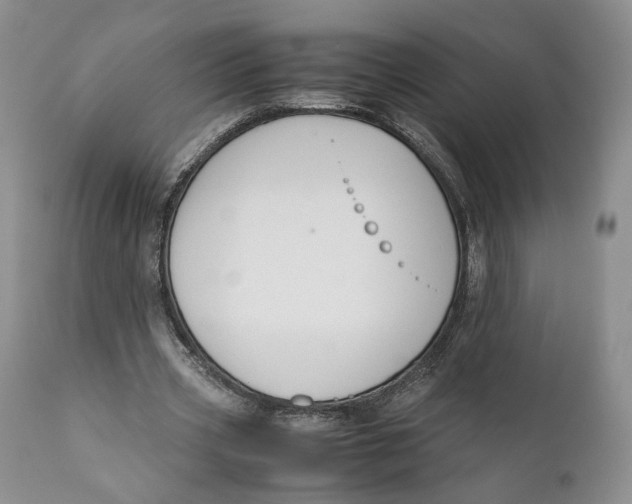 X0000110930533200907091523