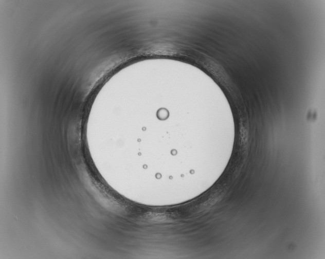X0000110930534200907091523