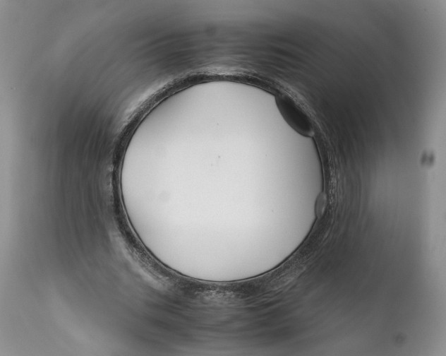 X0000110930535200907091523