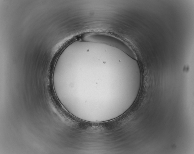 X0000110930536200907091523