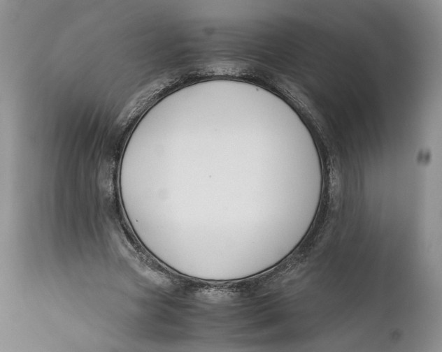 X0000110930537200907091523