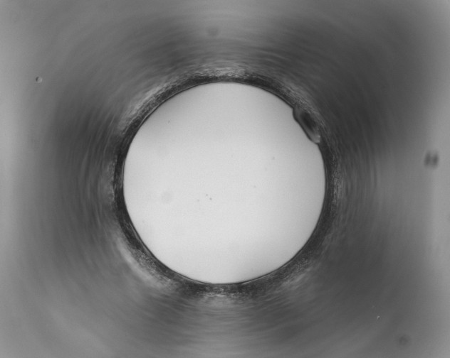 X0000110930538200907091523