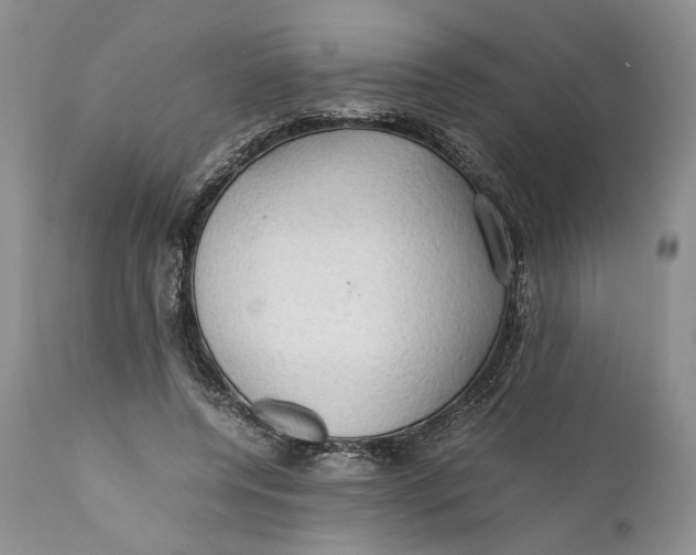 X0000110930544200907091523