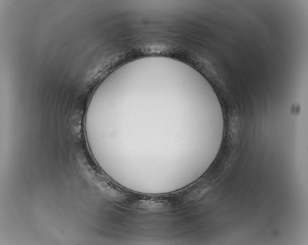 X0000110930545200907091523
